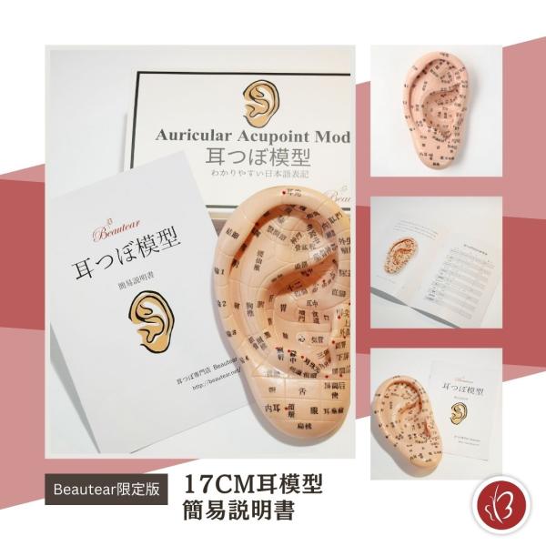 20個セット 未使用 FENGFAN 耳つぼ模型 耳ツボマッサージ 中国語表記 4個セット 未使用 FENGFAN 耳つぼ模型 耳ツボマッサージ 中国語