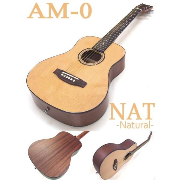 ANTIQUE NOEL　アコースティックギター ミニギター アコギ アコースティックギター 初心者 入門 12点