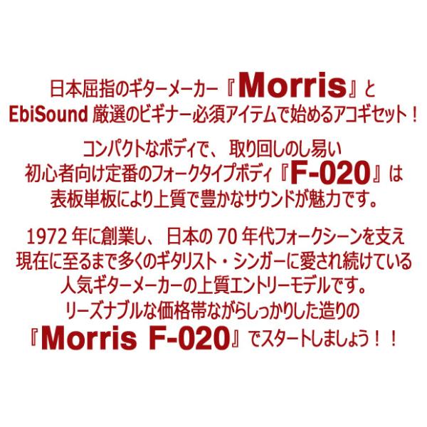 モーリス アコースティックギター MORRIS F-020 アコギ トップ単板