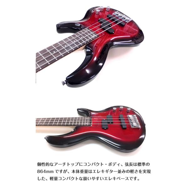 Aria ProⅡ ベース　初心者 igbstd-1.jpg