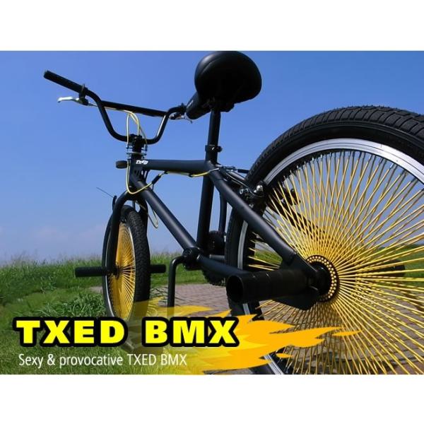送料無料】BMX 自転車 20インチ BMX 街乗り ペグ ジャイロ BMX