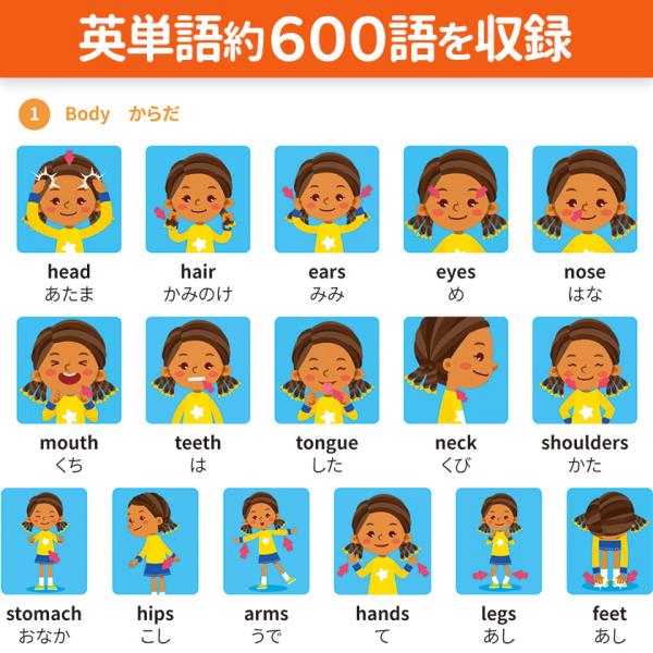 英単語フラッシュ DVD 英語辞典 FOR KIDS ENGLISH Singsing 子供