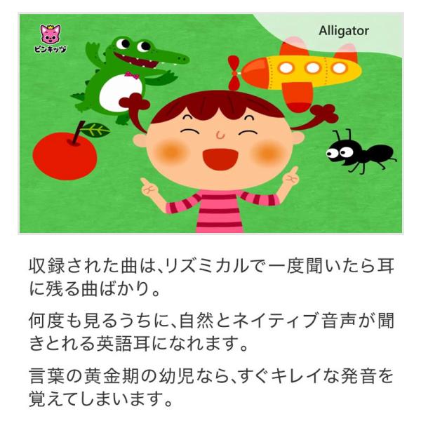 Pinkfong Fun Phonics for Kids DVD 幼児英語フォニックス子供英語発音