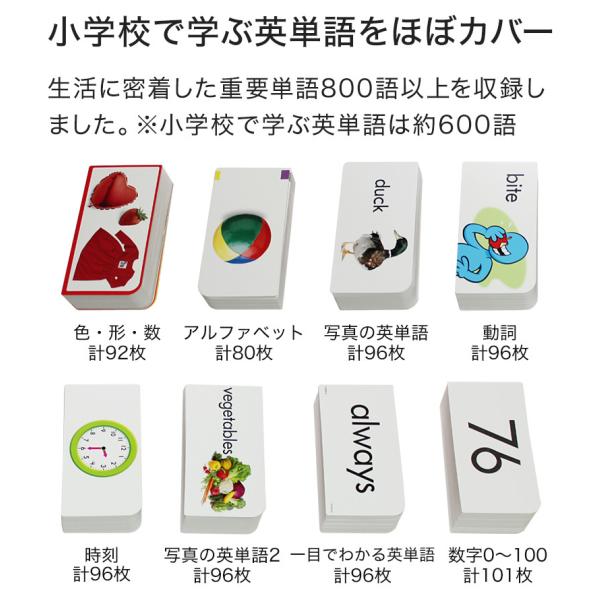 特典付 英語 フラッシュカード 750枚セット 送料無料 子供 幼児