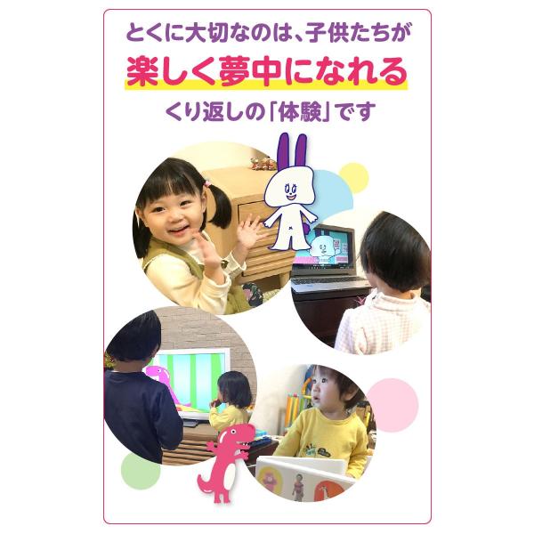 Goomies English for Kids DVD グーミーズ幼児子供英語フラッシュ