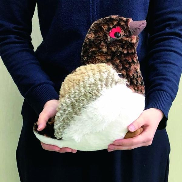 ぬいぐるみ タイインク 雷鳥ぬいぐるみ4L 興味深 Ty Inc. プレゼント