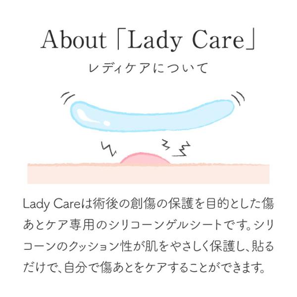 レディケア１２  / lady care12