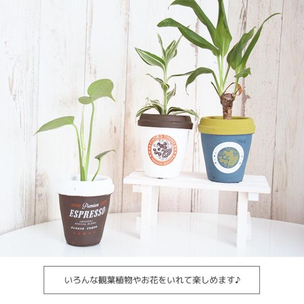 アンポルテ フラワーポット ガーデニング 園芸 植木鉢 植木