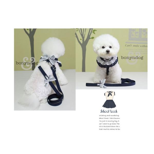 『2年保証』 ペット服 犬用 犬服 犬 首輪 胴輪 リードセット 一体型 ハーネス 犬服・アクセサリー