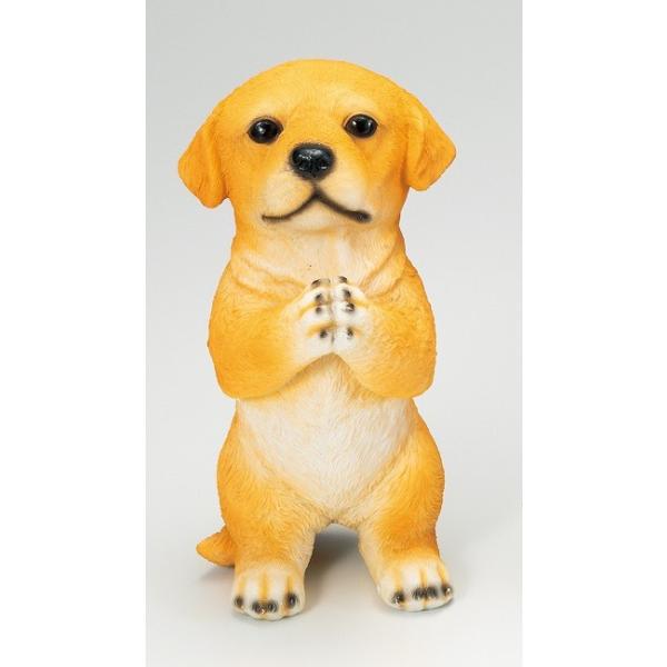 7364 お願いドック ゴールデンレトリバー ゴールデンレトリバー雑貨