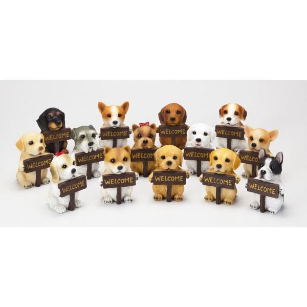 S9266 ウェルカムボード ドック ゴールデンレトリバー 犬/ドック