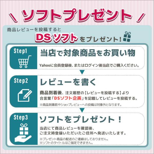 Nintendo DS ライト 本体 選べるカラー8色 ※純正アダプター付属 DS