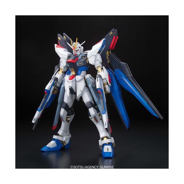 MG 機動戦士ガンダムSEED DESTINY ストライクフリーダムガンダム フル