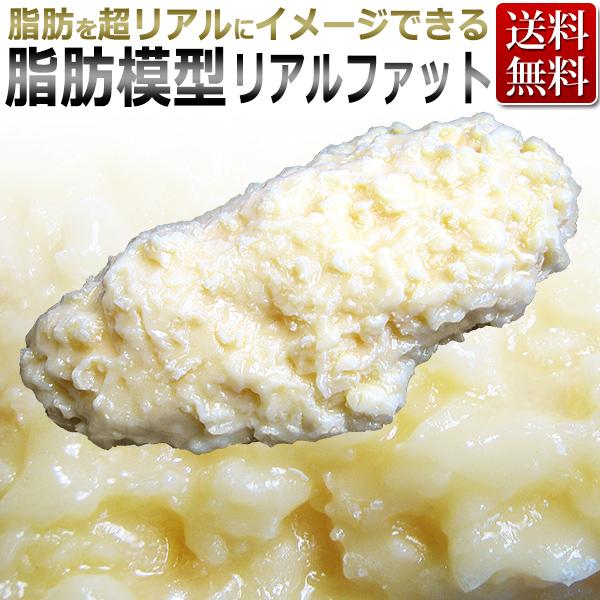 脂肪模型RealFat（リアルファット）1kg /【Buyee】 bot-online