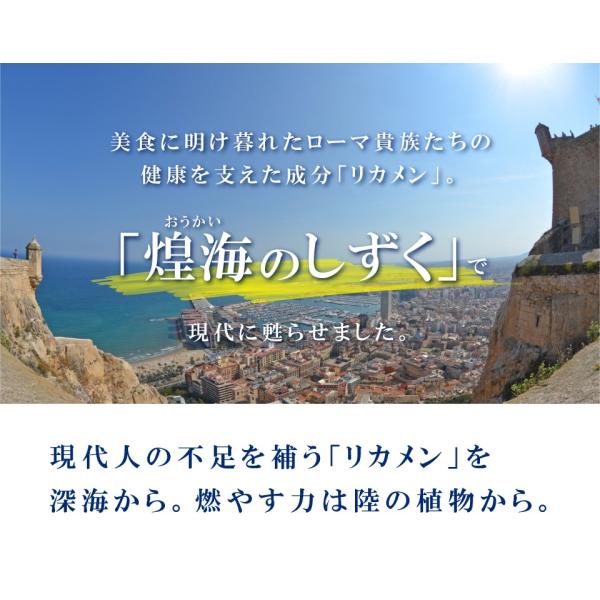 煌海のしずく リカメン DHA EPA ビタミンE ペプチド アミノ酸 L-カルニチン カテキン カプサイシン ポリフェノール EH eh エクセル  エクセルヒューマン /【Buyee】