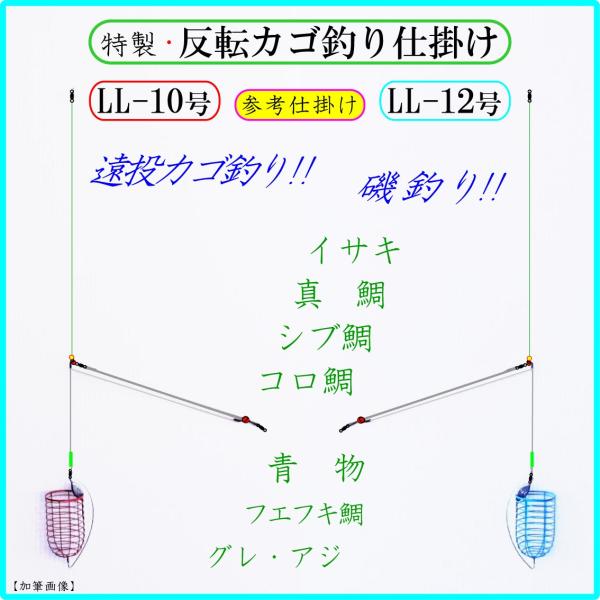 クッションゴム 2ｍｍ 販売済み マダイ