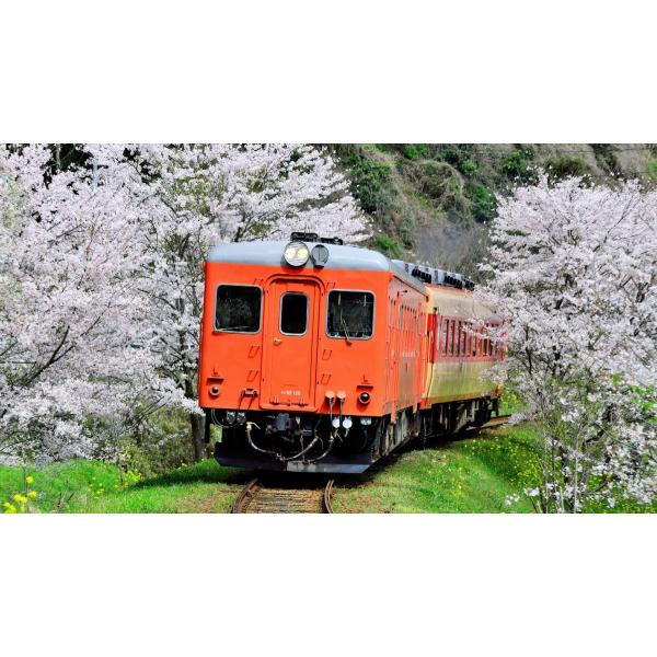 鉄道伝説ブルーレイ第12巻 いすみ鉄道キハ52 国鉄485系 小田急VSE車 私鉄 特急 ロマンスカー 昭和 鉄道史 国鉄 鉄道番組 BSフジ  /【Buyee】 Buyee - Japanese Proxy Service | Buy from Japan!