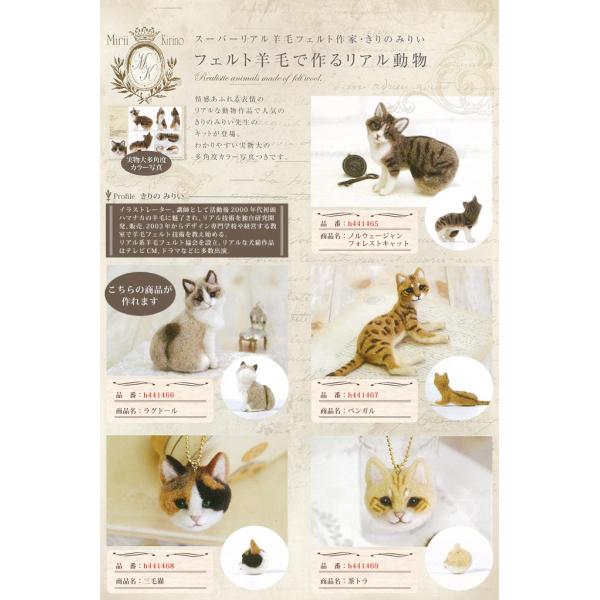 羊毛フェルト 猫 『ジュン様』専用ページ （羊毛フェルト 猫セミ