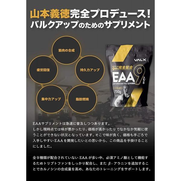 VALX EAA9 Produced by 山本義徳 シトラス風味 必須アミノ