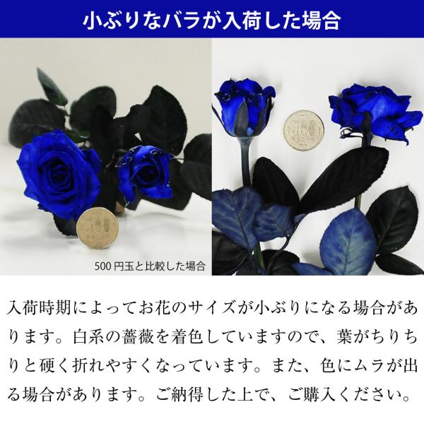 ggg 他の方購入時バラ配送致します。 ggg 他の方購入時バラ配送致します。 Qoo10でまとめて購入した