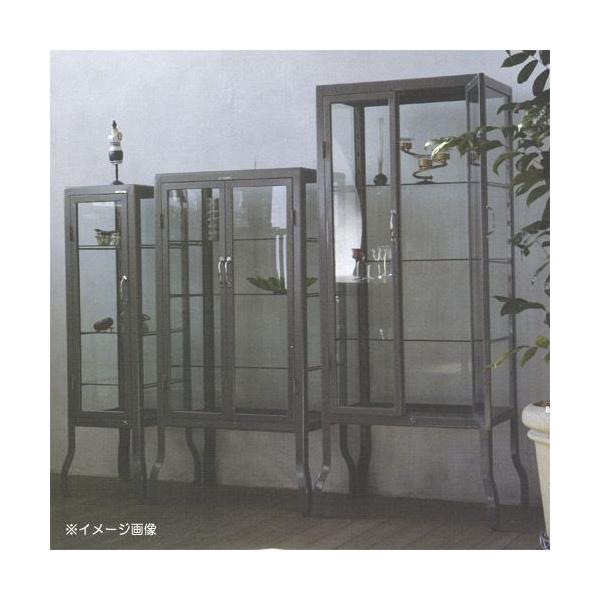 DOCTOR CABINET L HOT DIP GALVANIZED （ドクター キャビネット L