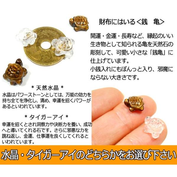 SALE 開運 金運アップ 3点セット 天然石銭亀 白蛇抜け皮 財神到
