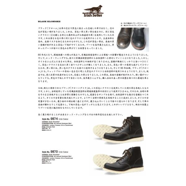 レッドウィング アイリッシュセッター RED WING 9874 ［Black 