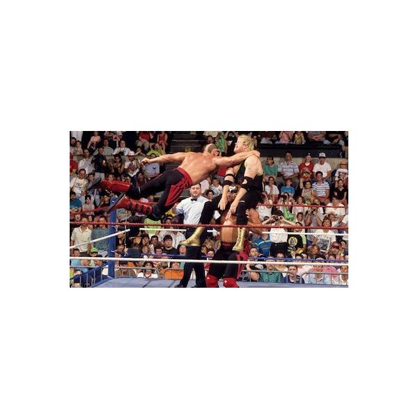 暴走戦士 ロード・ウォリアーズ グラフィックTシャツ（ボディ色：アイスグレー）アメリカ直輸入 WWE NWA AWA 昭和レトロ 昭和プロレス プロレスTシャツ 暴走戦士 ロード・ウォリアーズ グラフィックTシャツ（ボディ色