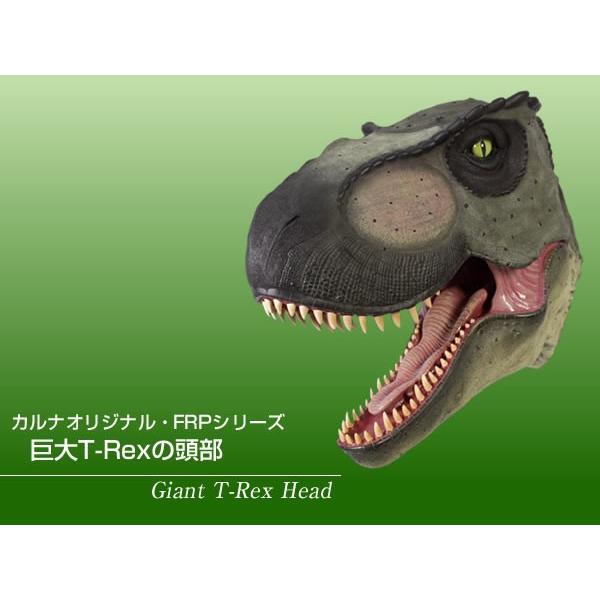 恐竜の頭 Hc9bca1c1cdcd4dfca70ac9509b698