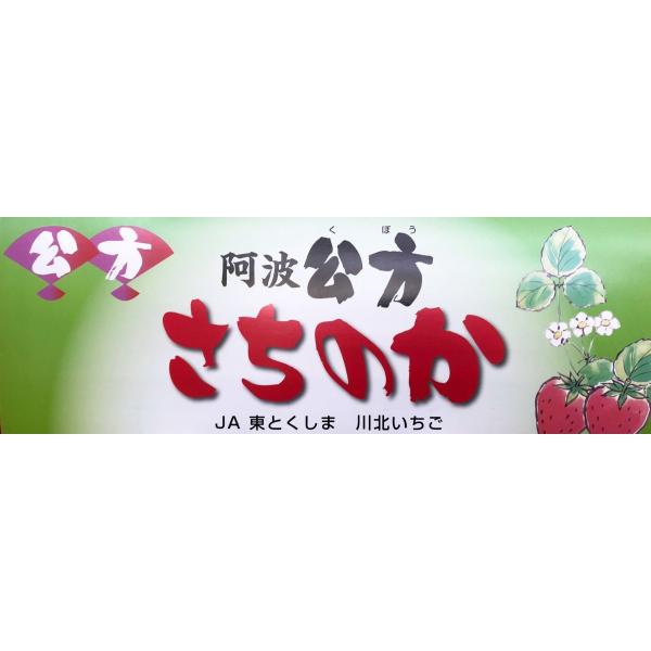いちご 公方 さちのか 徳島産 くぼう 2Lまたは3Lサイズ 4
