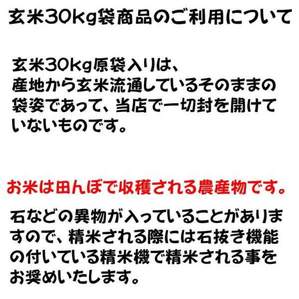 玄米30kg】令和4年産仁多米『大峠源流米』玄米30kg【1等米】【精米無料