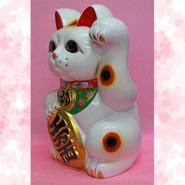 新品◇常滑焼 招き猫 白猫10号商売繁盛 貯金箱