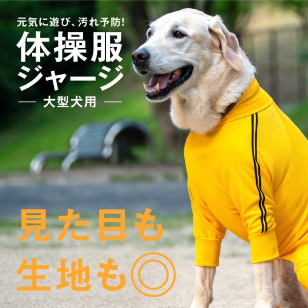Fox Republic] ラブラドールレトリバー いぬ 不案内 犬 筋トレ
