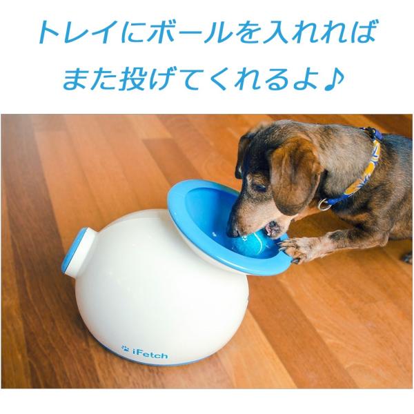 iFetch 愛犬用自動キャッチボールおもちゃ(小型犬〜中型犬用