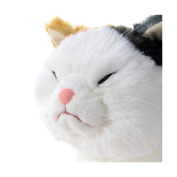 Cuddly マリア りらっくす Maria Relax ぬいぐるみ Amazon.co.jp: ＜Cuddly＞カドリー こだわりのぬいぐるみ 猫の