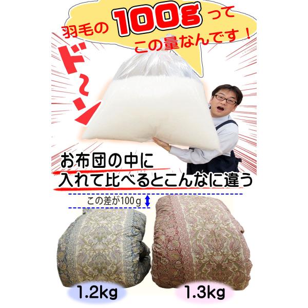 特盛】1.5kg 羽毛ふとん ハンガリー産 ホワイトマザーグース ダウン93