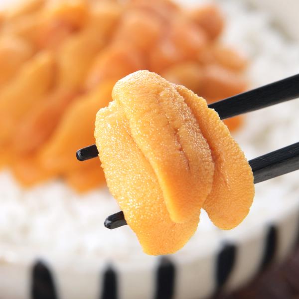 うに 出荷中】北方四島産 塩水ウニ 生ウニ バフンウニ 200g (100g×2P