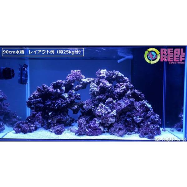 人工ライブロック 人工ライブロック リアルリーフロック ナノ 約2kg 同