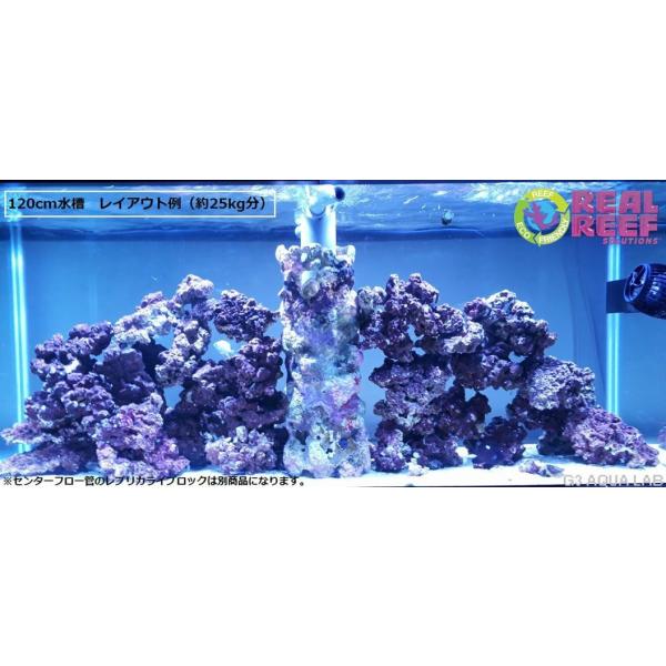 人工ライブロック　No.15 アク抜き済 KURO-DACHI/ONE | KURO-DACHI/ONE | 玄人志向 USB3.0接続 3.5