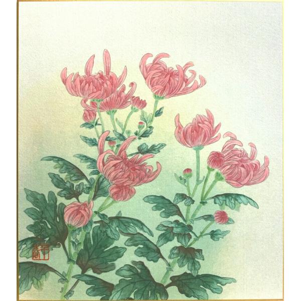 秋瞑菊 色紙画