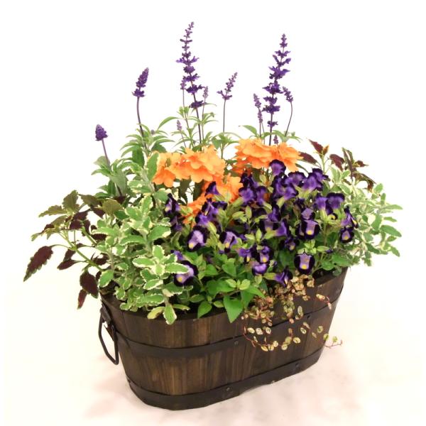 素敵でユニークな 寄せ植え 初夏の寄せ植え お誕生日プレゼント 初夏の花 夏の花 フラワーアレンジメント