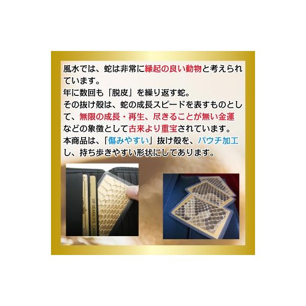 yuto様★専用★超金運上昇✡️金黒蛇石 蛇の脱け殻付き 蛇の抜け皮（蛇の抜け殻） 財布に入れて金運を呼ぶカードパウチ