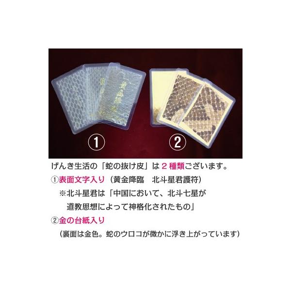 yuto様★専用★超金運上昇✡️金黒蛇石 蛇の脱け殻付き yuto様☆専用☆超金運上昇✡️金黒蛇石 蛇の脱け殻付き