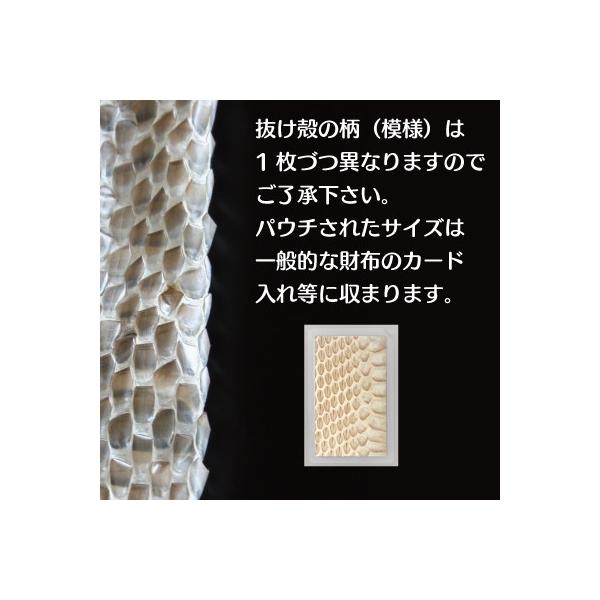yuto様★専用★超金運上昇✡️金黒蛇石 蛇の脱け殻付き 蛇の抜け皮（蛇の抜け殻） 財布に入れて金運を呼ぶカードパウチ