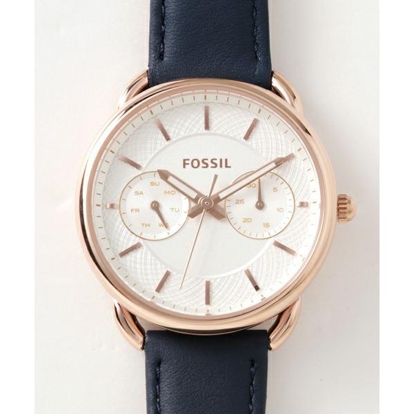 FOSSIL TAILOR