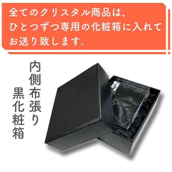 Steuben Galss サンキューブ ペーパーウエイト 置物 箱付 ペーパーウェイト 60x60x100mm クリスタルガラス キューブ ブロック