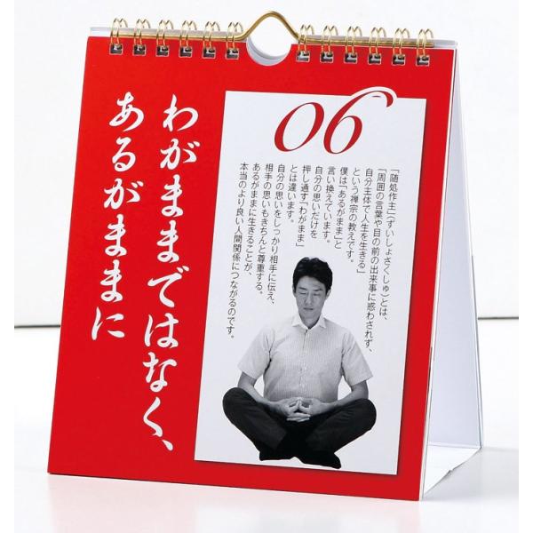 カレンダー 壁掛け 日めくり まいにち、修造！ 松岡修造 心を