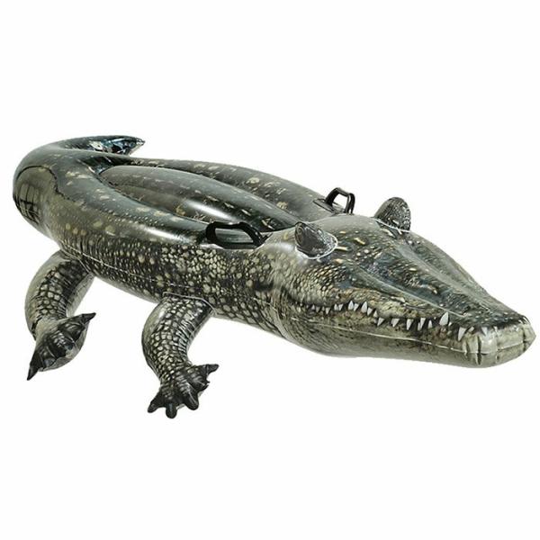 浮き輪 フロート マット INTEX インテックス ワニ 57551 REALISTIC GATOR RIDE-ON 170x86cm 水遊び 浮輪  プール 大人 ファミリー 子供 送料無料 /【Buyee】