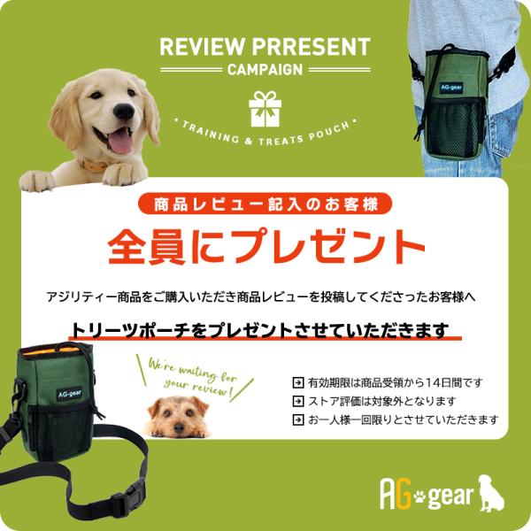 犬用 ドッグアジリティ 競技用スラローム 12本ポール 障害物 自立・組立式 持運びキャリーバッグ付き【犬用 運動器具 訓練 トレーニング しつけ  ドッグラン】 /【Buyee】