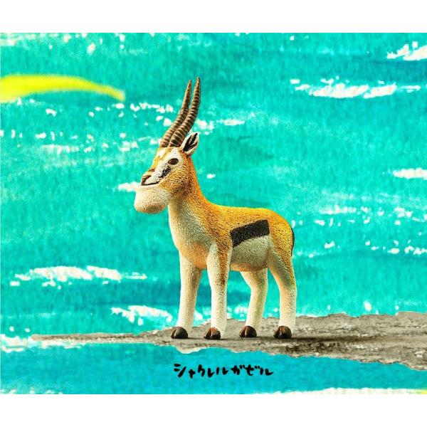 シャクレルプラネット 4点セット 秋